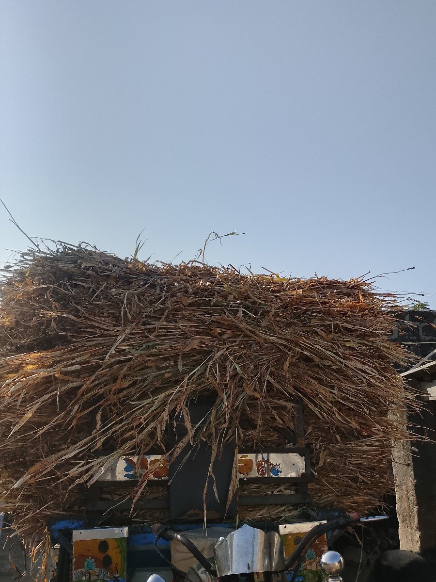 નીરણ વેચવાની છે