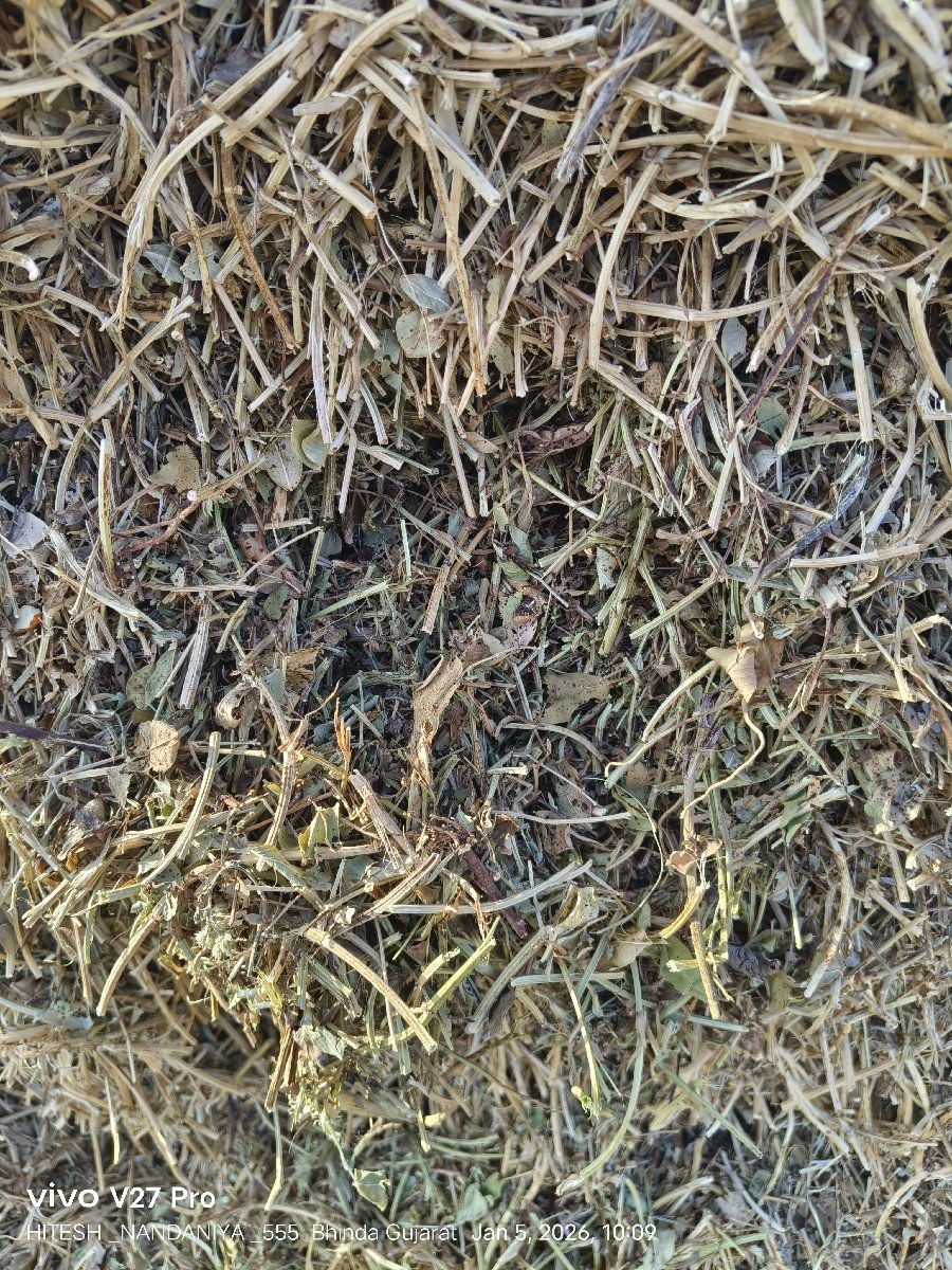 ભૂકો v