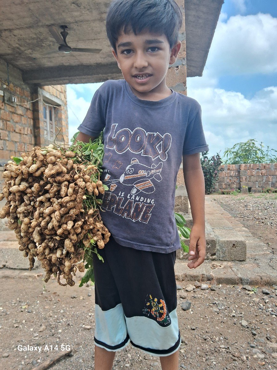 39 nmbar mandvi biyaran