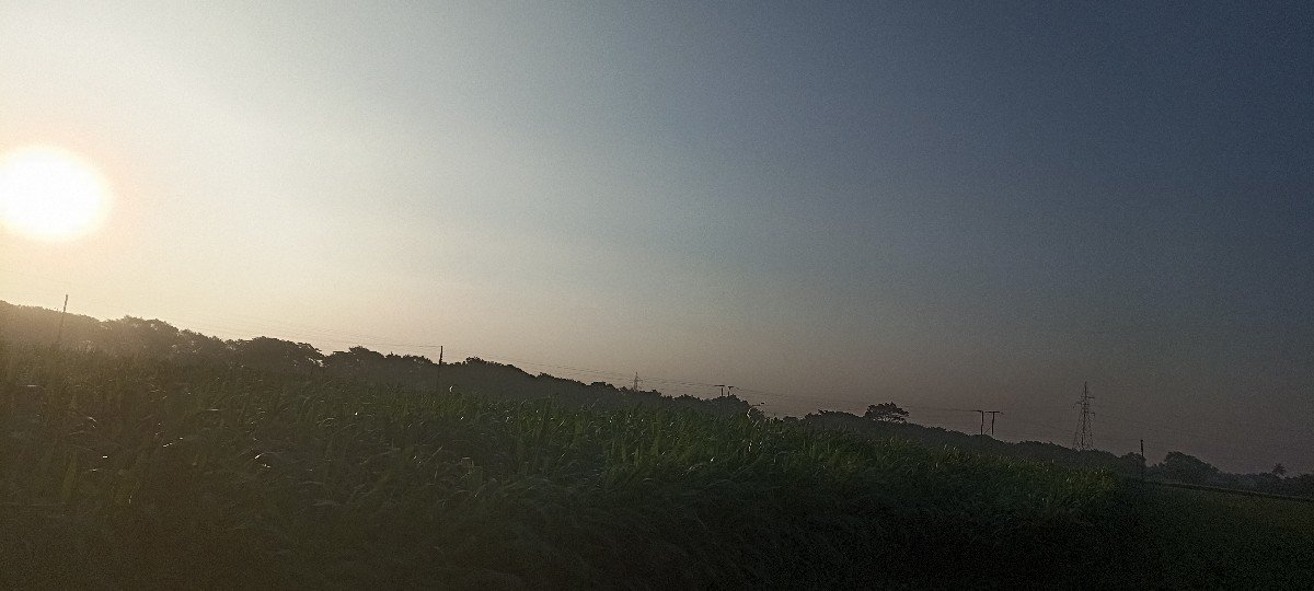 મકાઈ નો ઘહેરો