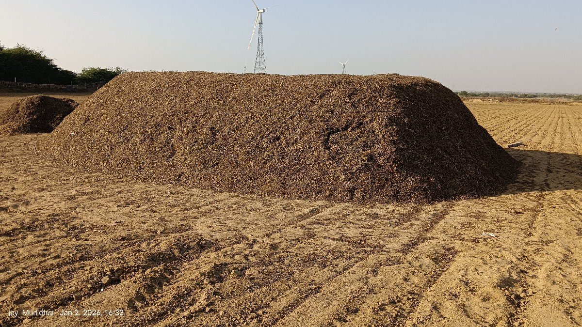 ભુકો 
20 વિધાનો
