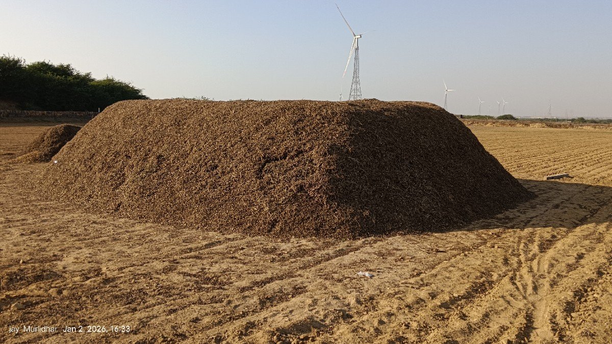 ભુકો 
20 વિધાનો