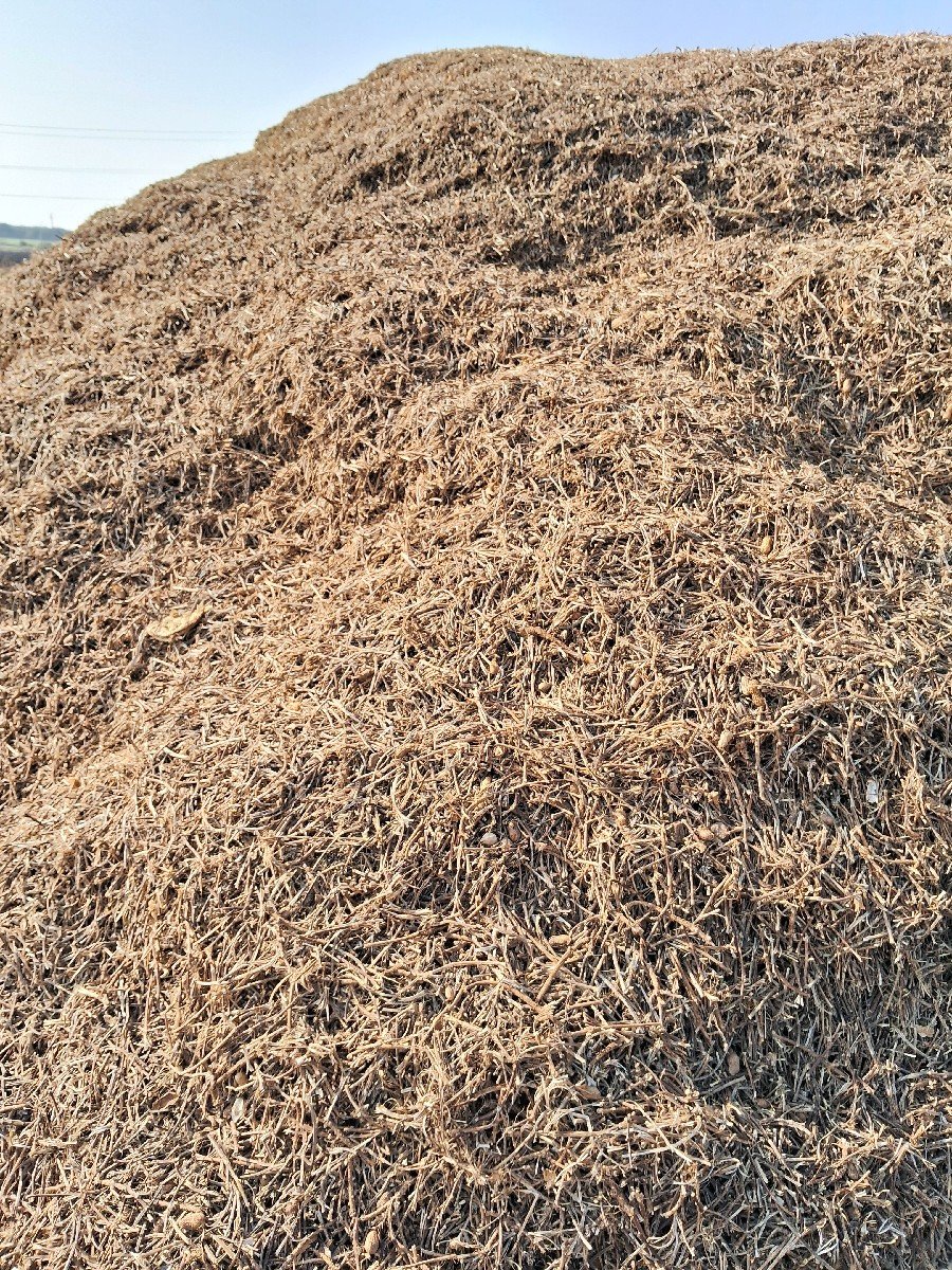 ભુકો વેચવાનો