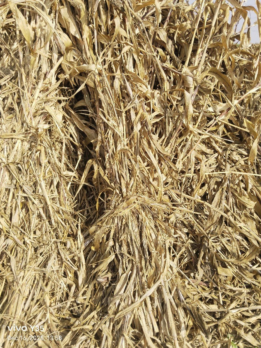ચરો