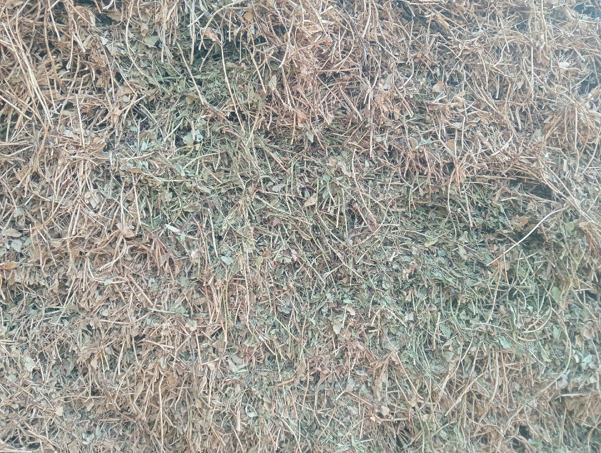 મઞૉટુ વેચવાનું છે