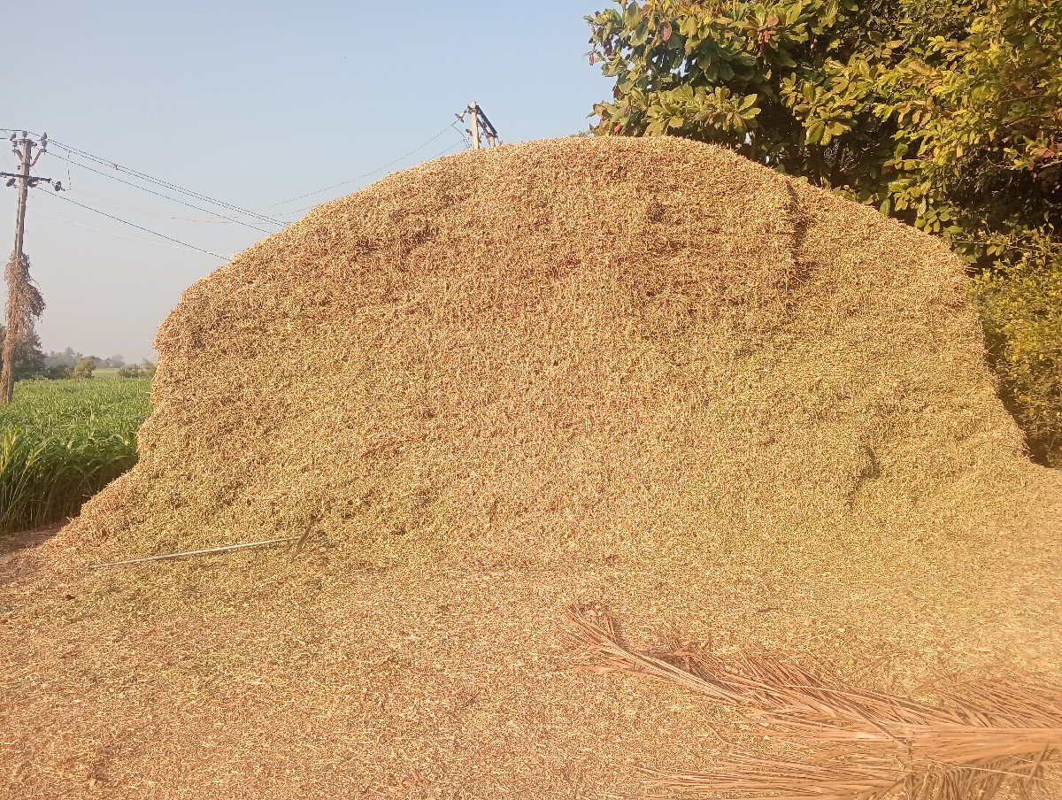 મઞૉટુ વેચવાનું છે