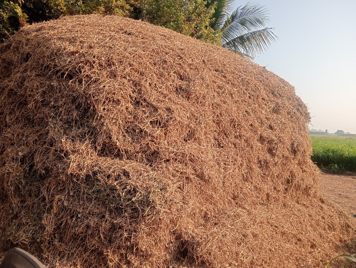 મઞૉટુ વેચવાનું છે