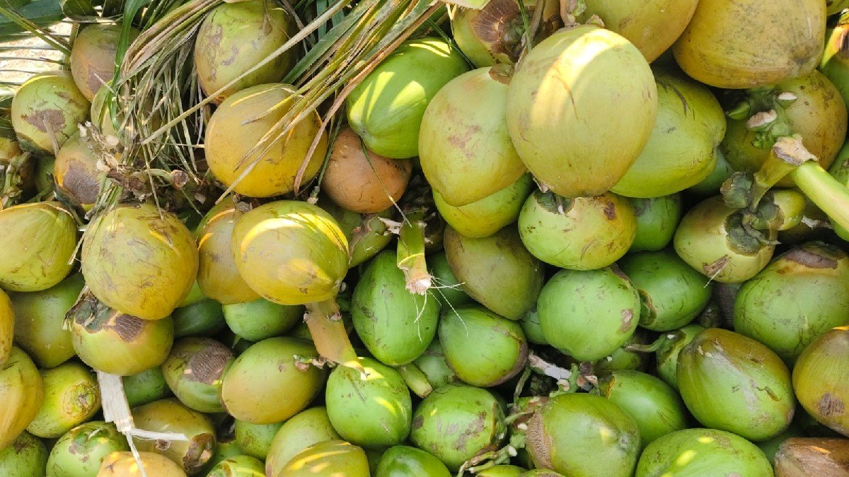 નારિયેળ લે - વેચ