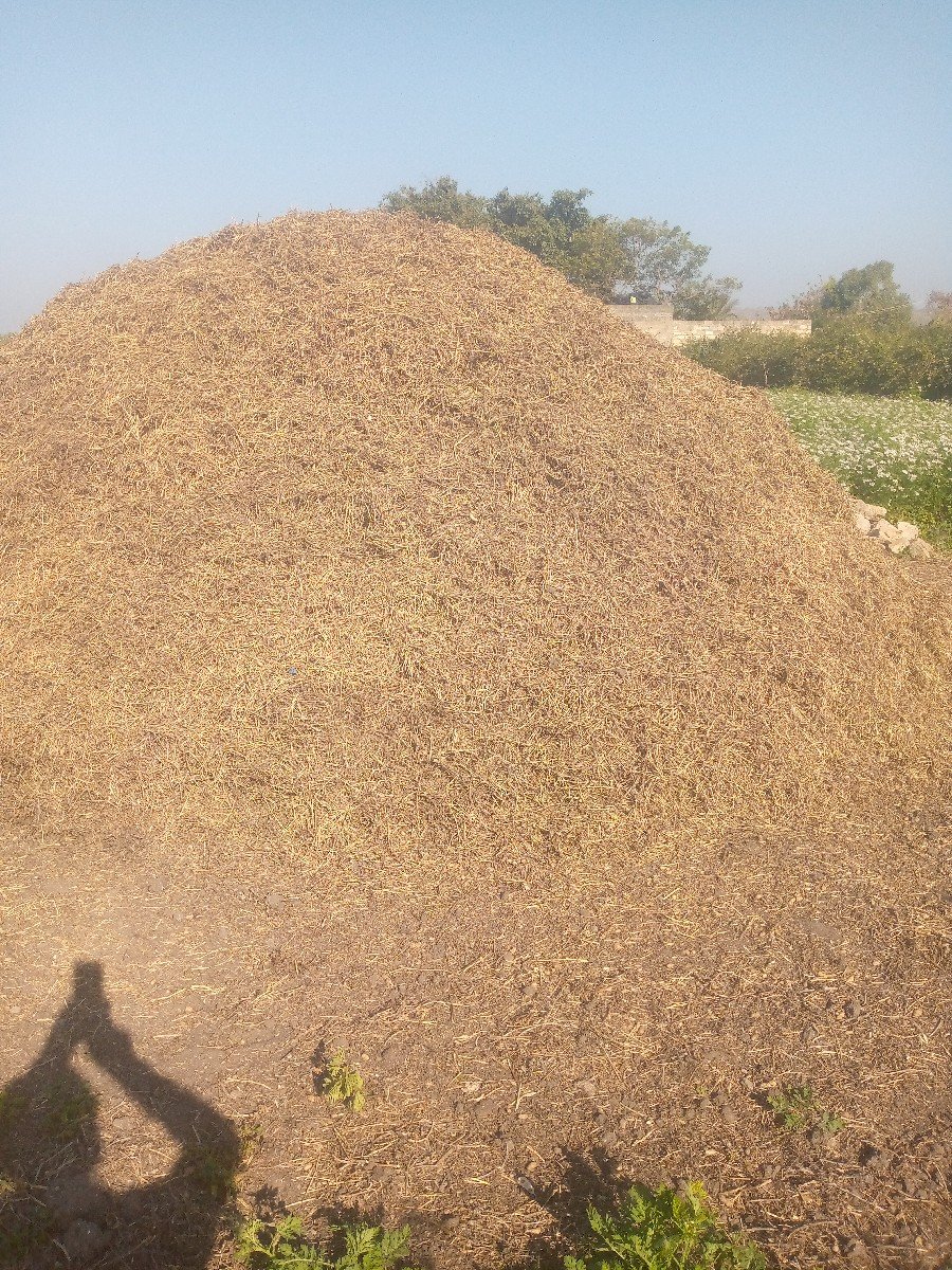 સોમત વસરા