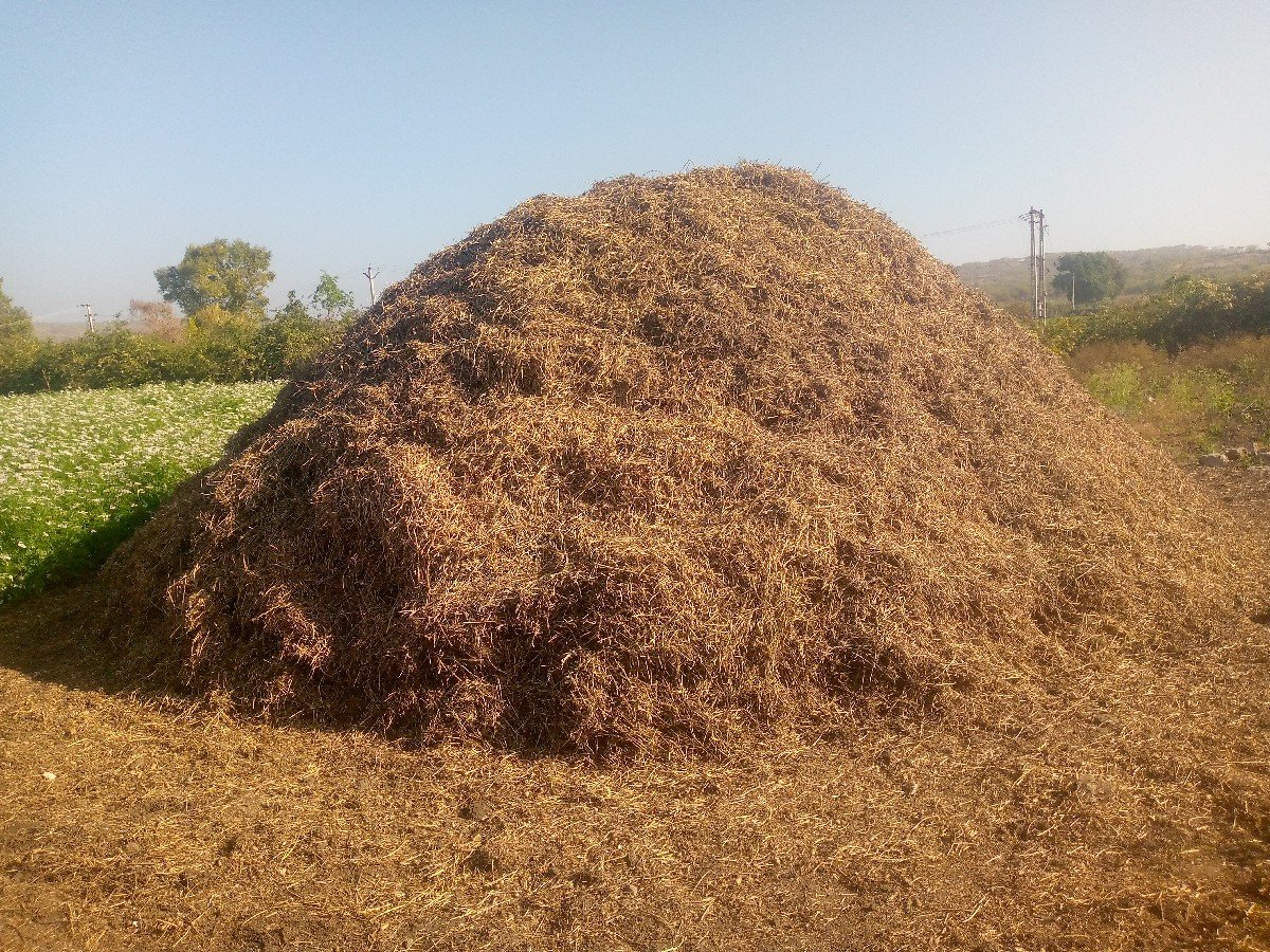 સોમત વસરા
