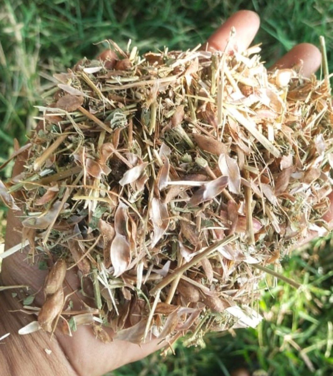 તુવેર નો સિંગરોટા વારો ભૂકો