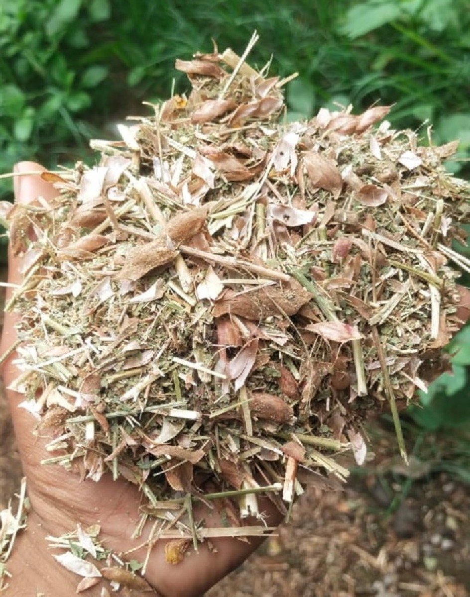 તુવેર નો સિંગરોટા વારો ભૂકો