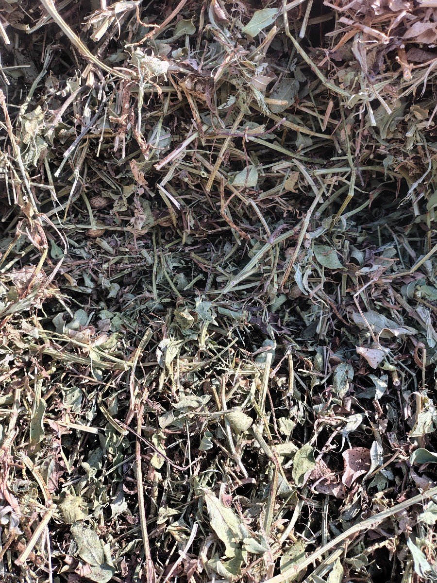 ડુસો વેચવાનો છે ૧૪, વીધાનો