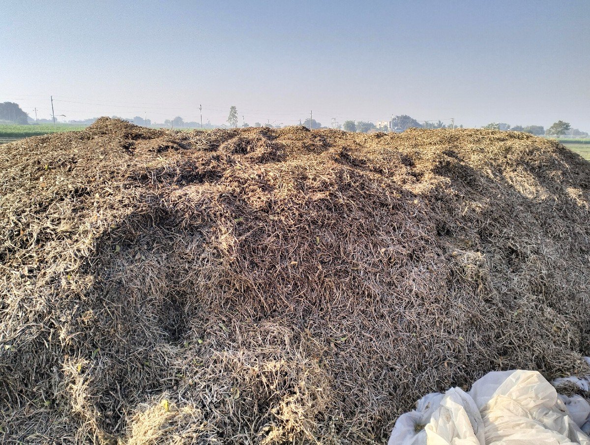 7 વીઘા