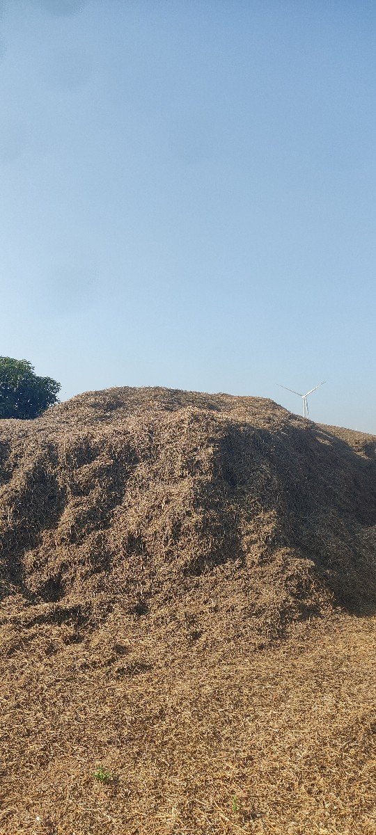33 વીઘા નો ભુકો વેચવાનો છે