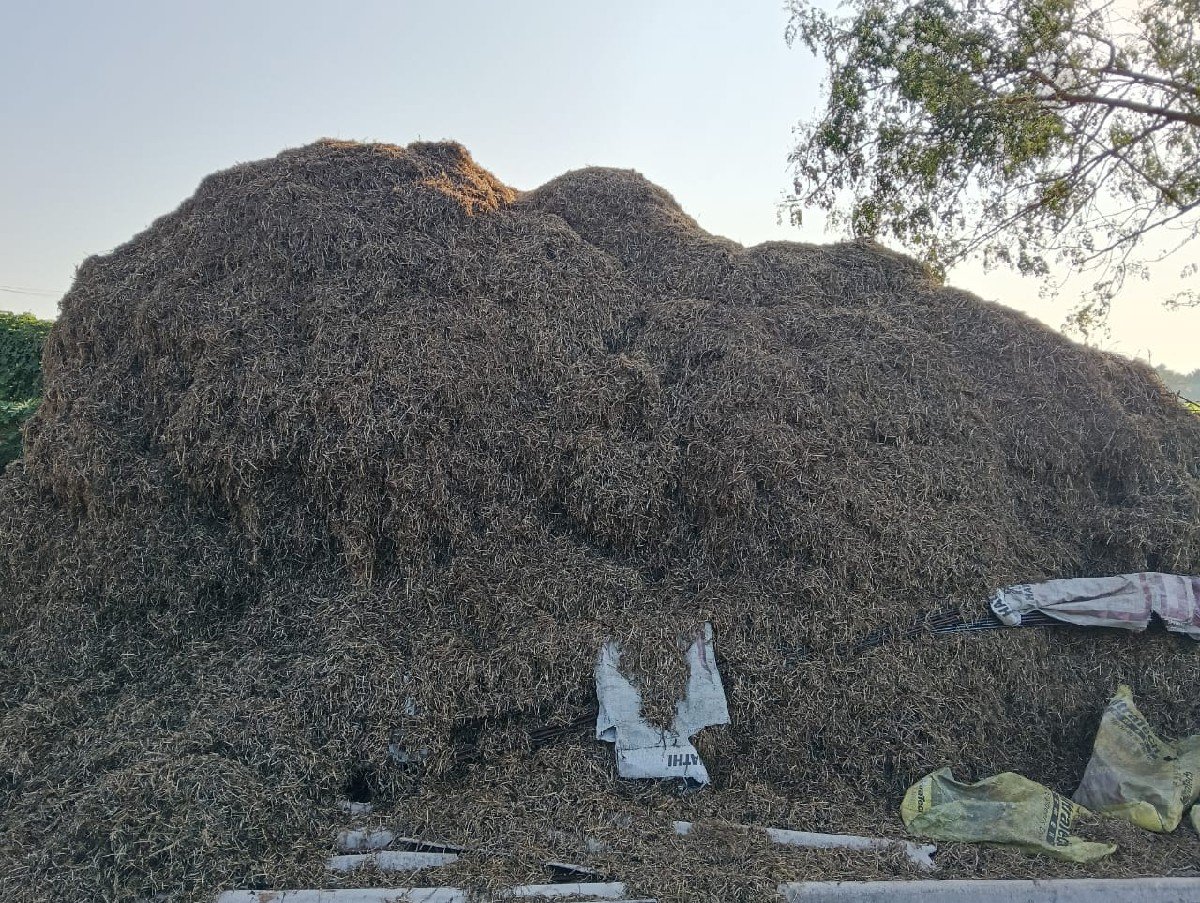 માંડવીયું વેચવાનું છ કીંદર્વા