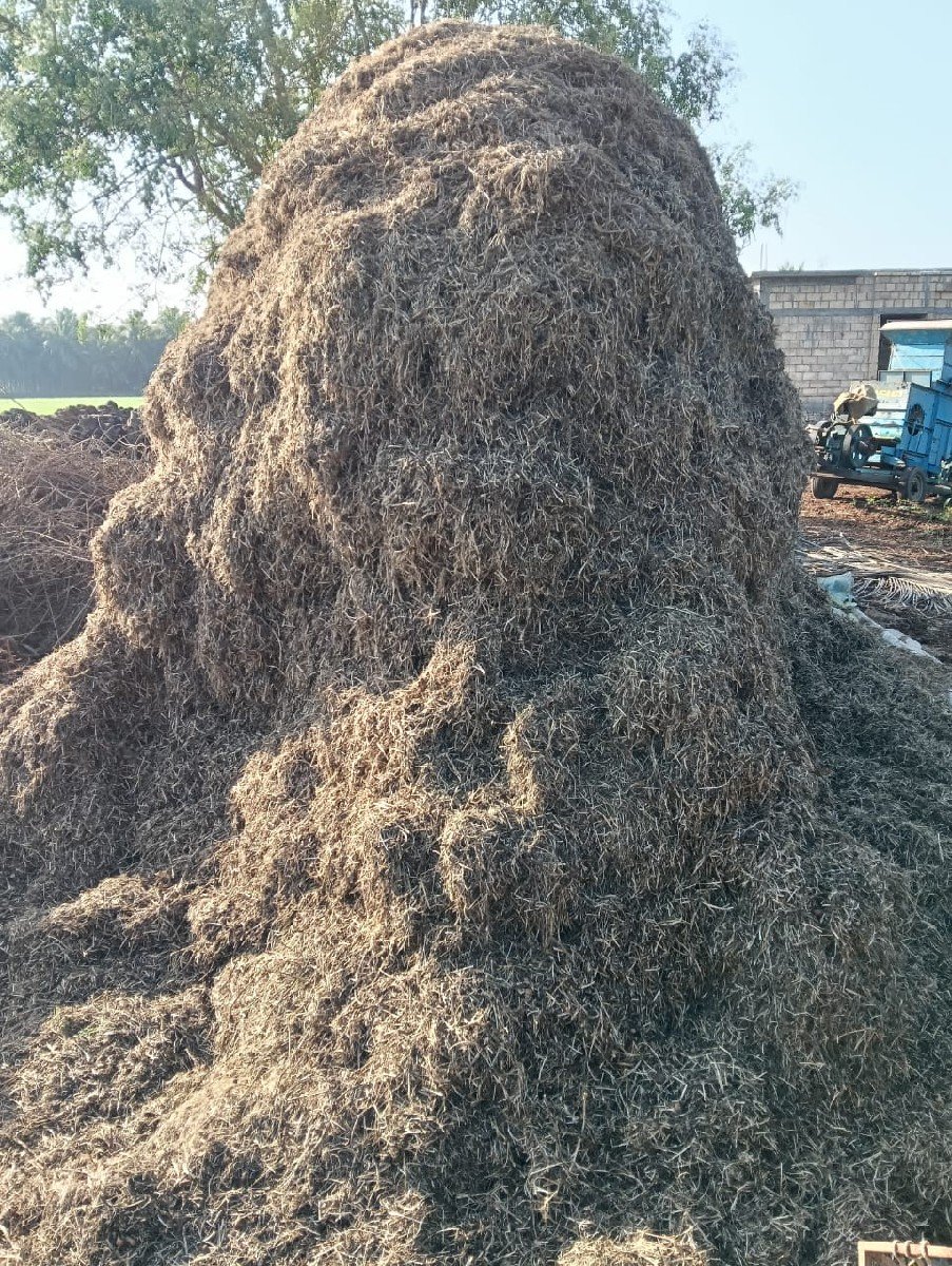 માંડવીયું વેચવાનું છ કીંદર્વા