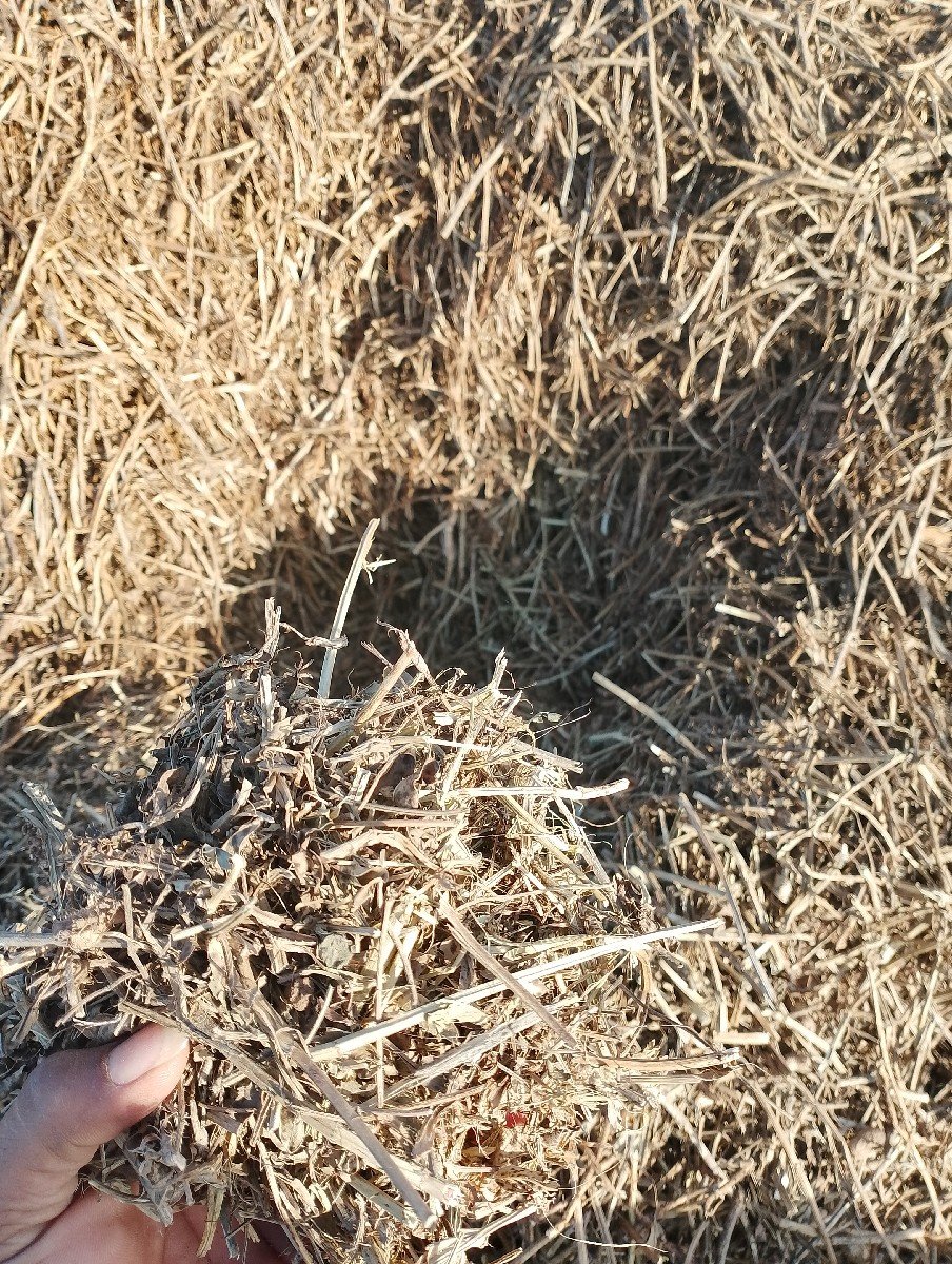 ભૂકો