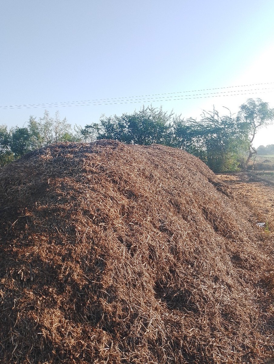 ભૂકો