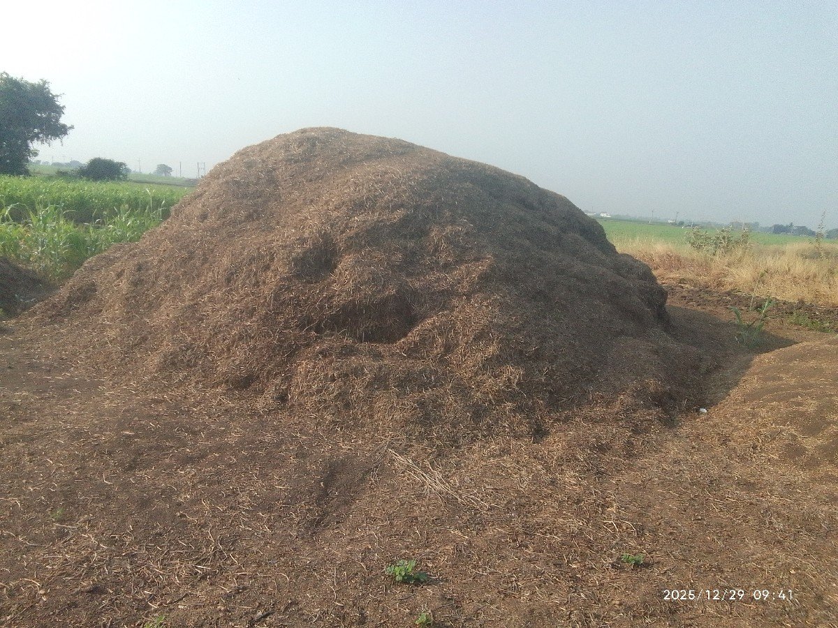 10vighano bhuko