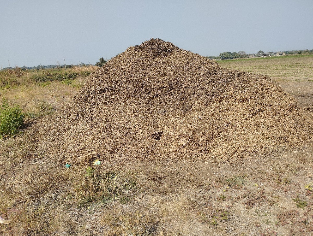 માંડવી નો ભુક્કો વેચવાનો છે