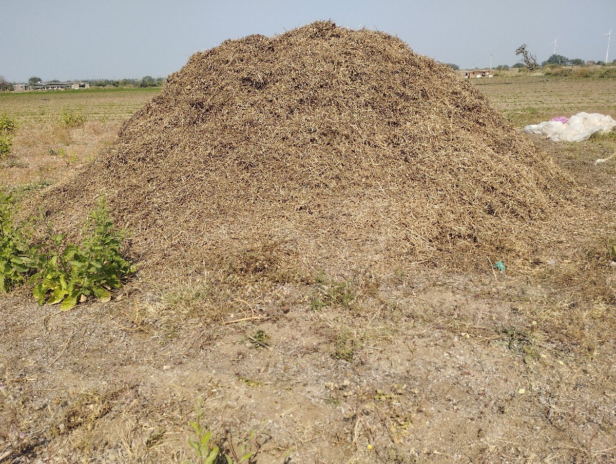 માંડવી નો ભુક્કો વેચવાનો છે