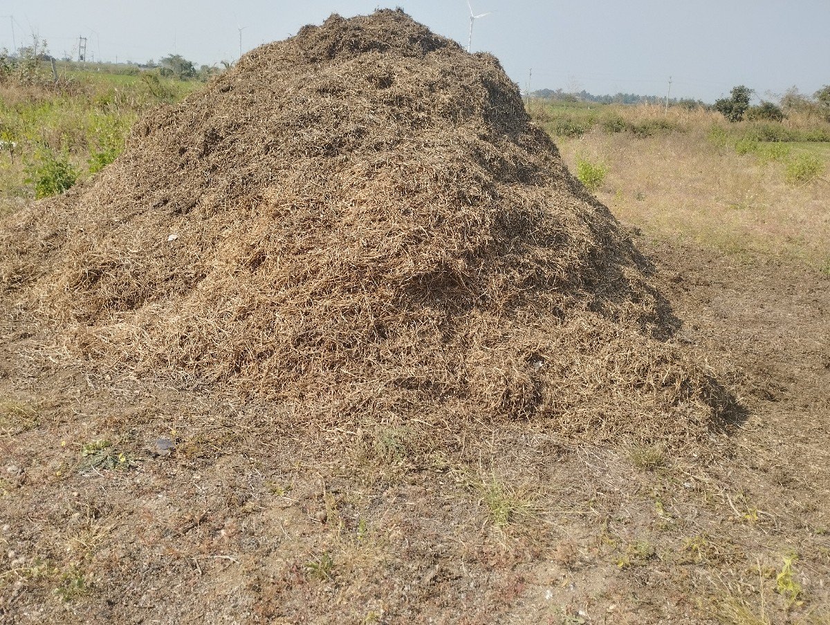 માંડવી નો ભુક્કો વેચવાનો છે
