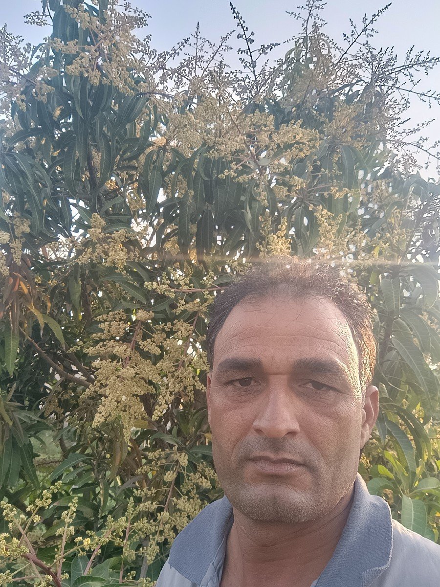 બગીસોદેવવાનો છે