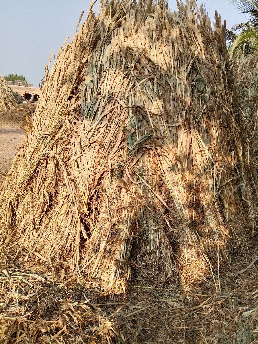 વેચવાના છે  પુરા
