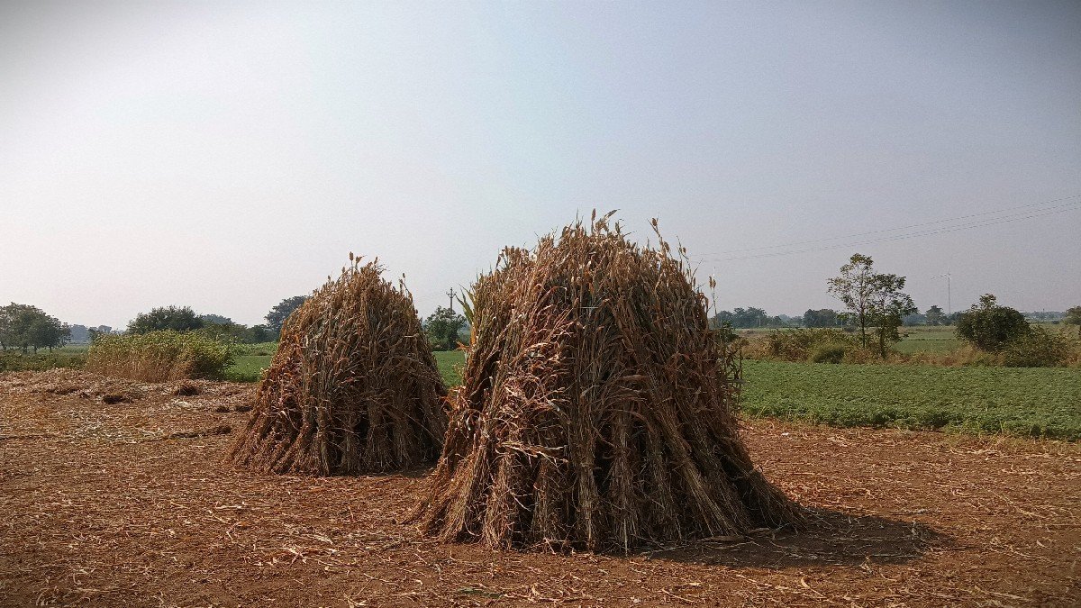 નીરણ વેચવાની છે