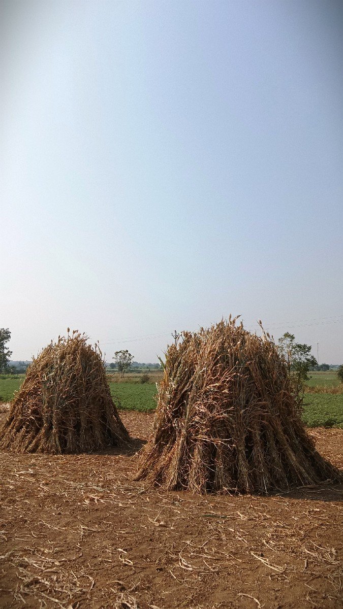 નીરણ વેચવાની છે