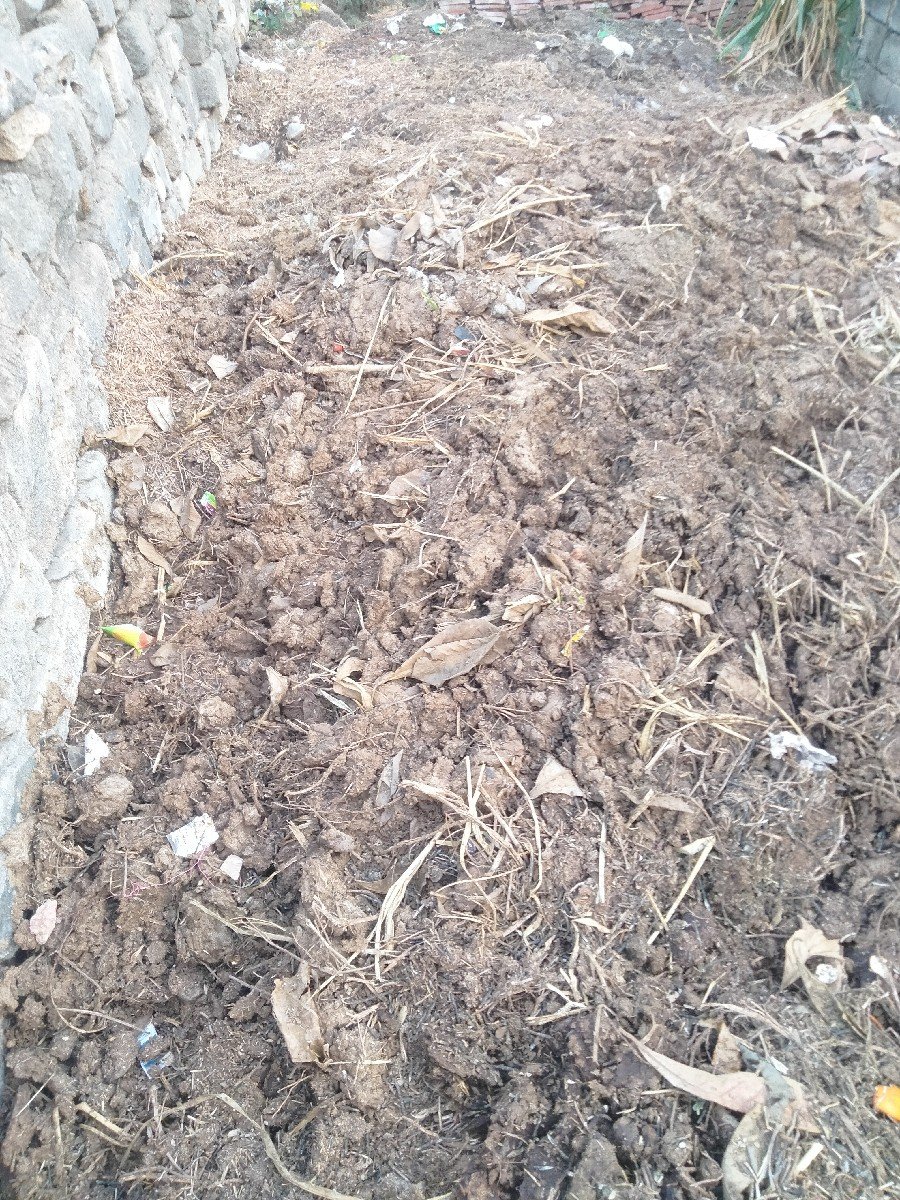 ખાતર