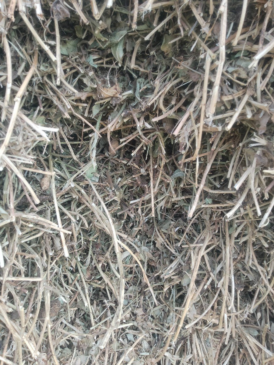મગફળીના કોરો ભૂકો વેચવાનો છે