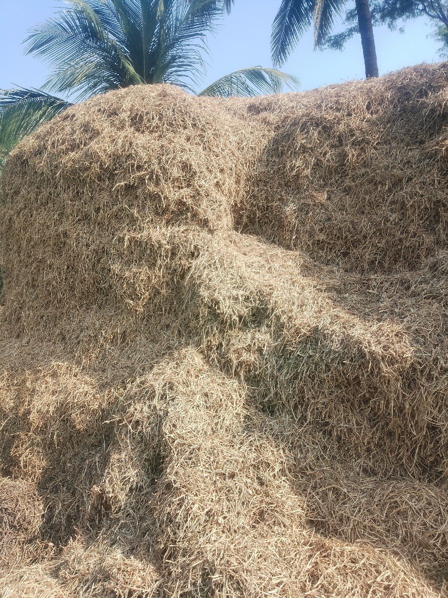 મગફળીના કોરો ભૂકો વેચવાનો છે