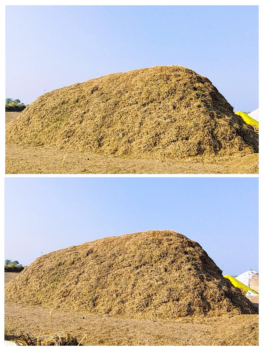 8 વીઘા માંડવીનો કોરો ભુકો વેચવાનો છ