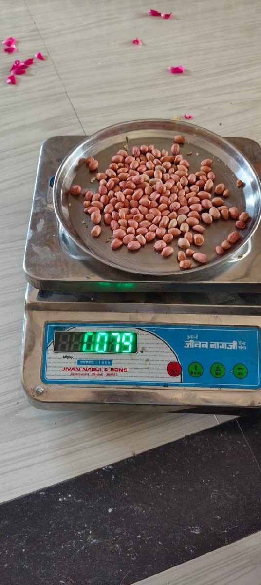 GG-35 (સોરઠ ગોલ્ડ )મગફળી