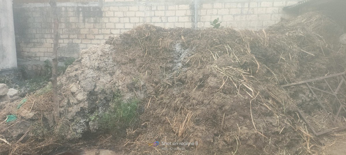 દેશી છાણીયુ ખાતર