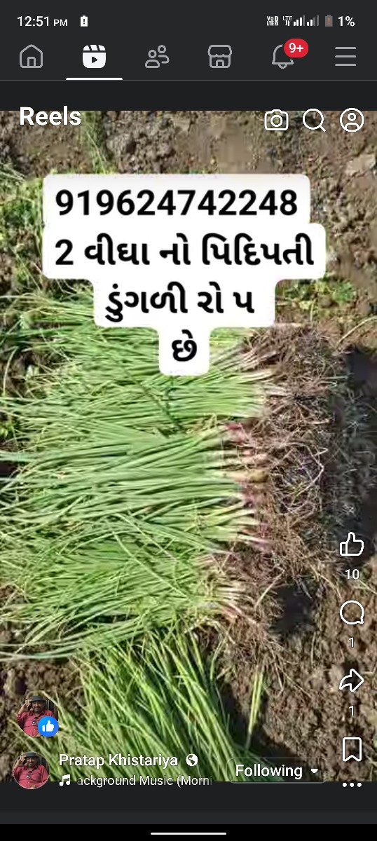 ડુંગળી નો રોપ