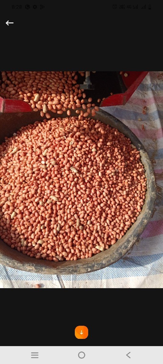 54 નંબર માંડવાના કોણ