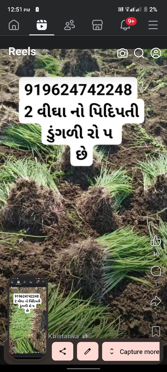 ડુંગળી નો રોપ