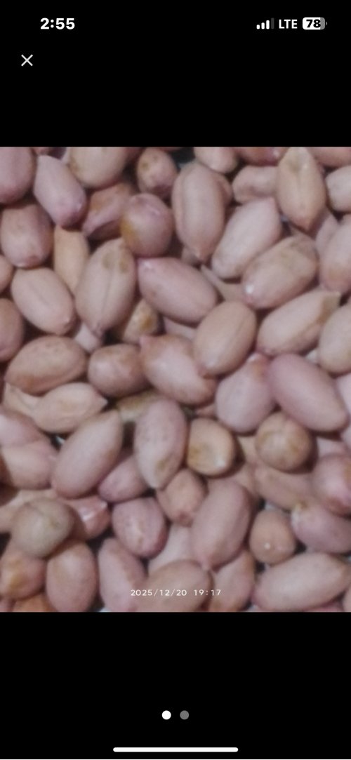 ૩૨ નંબર