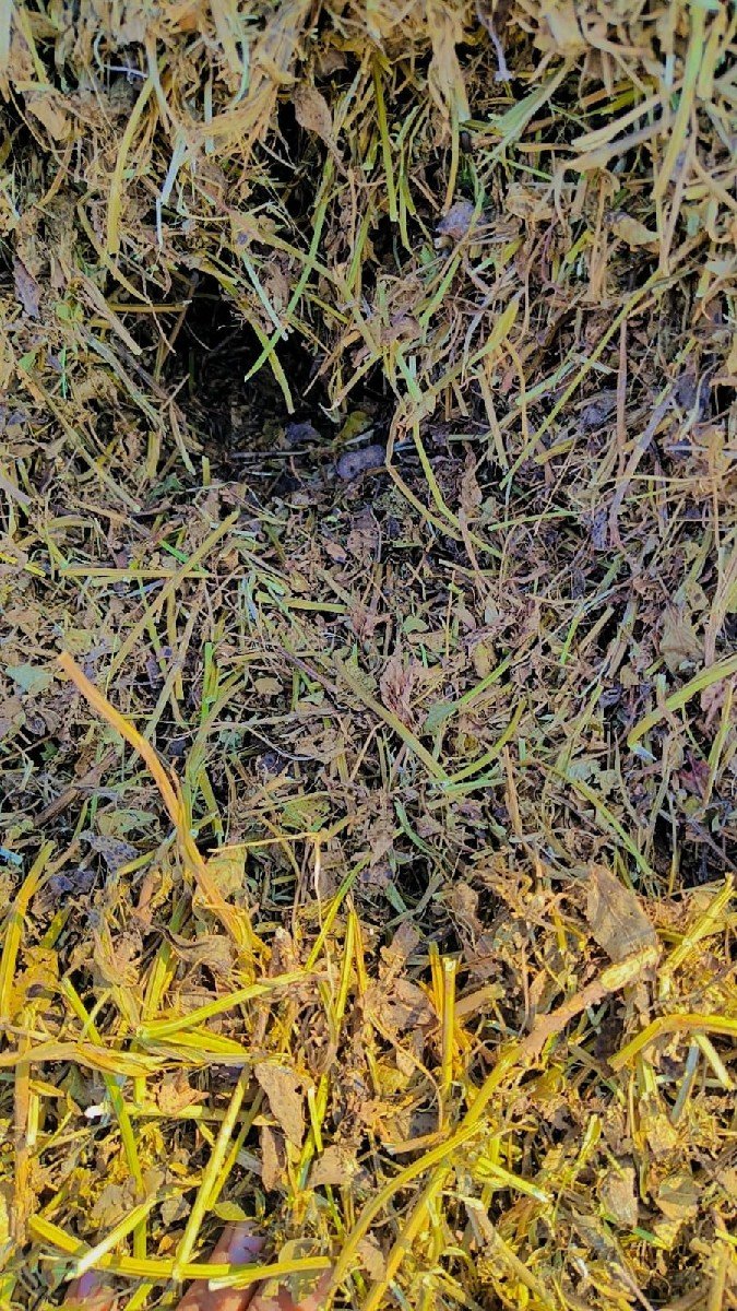 ભૂકો વેચવાનો છે