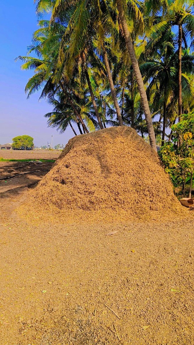 ભૂકો વેચવાનો છે