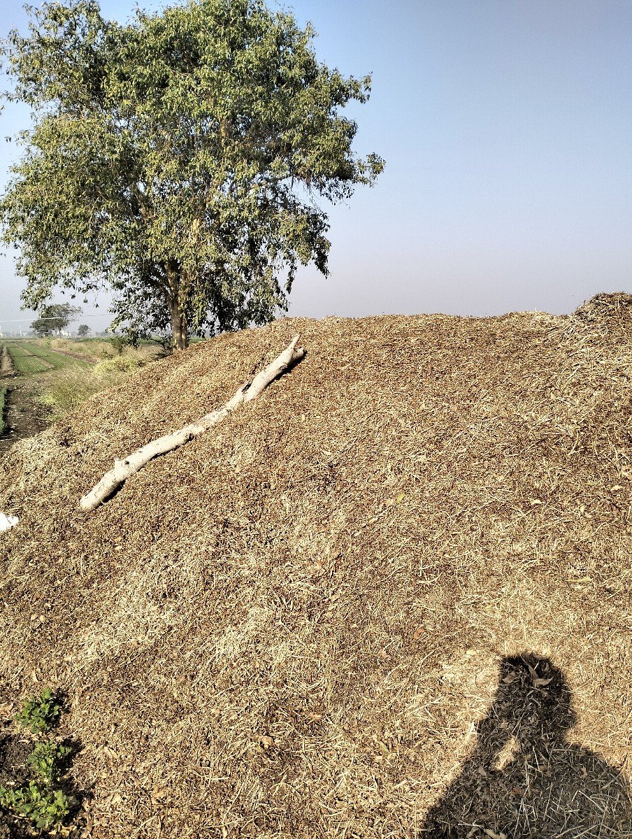 7 વીઘા