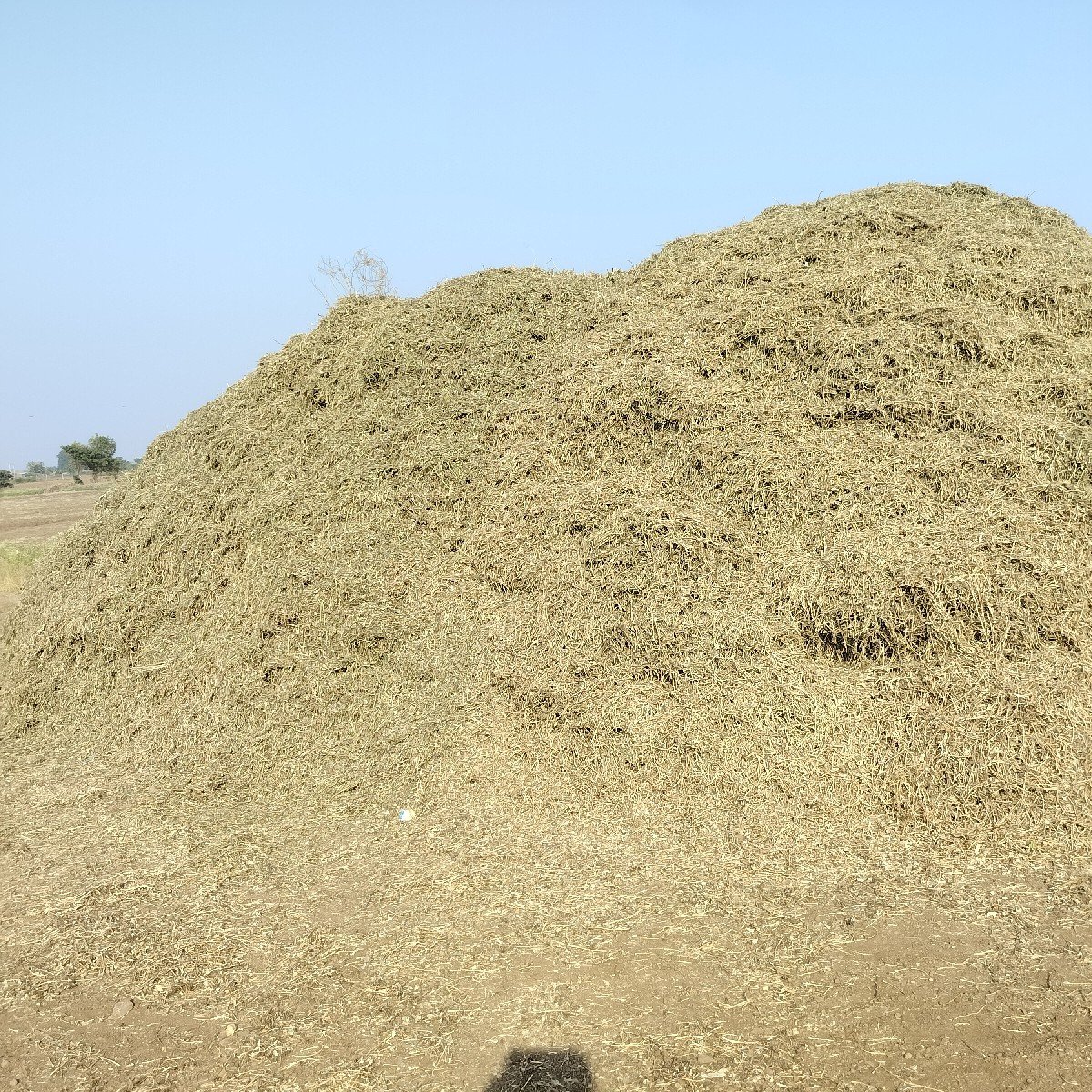 મગોટુ  (ભુકો)