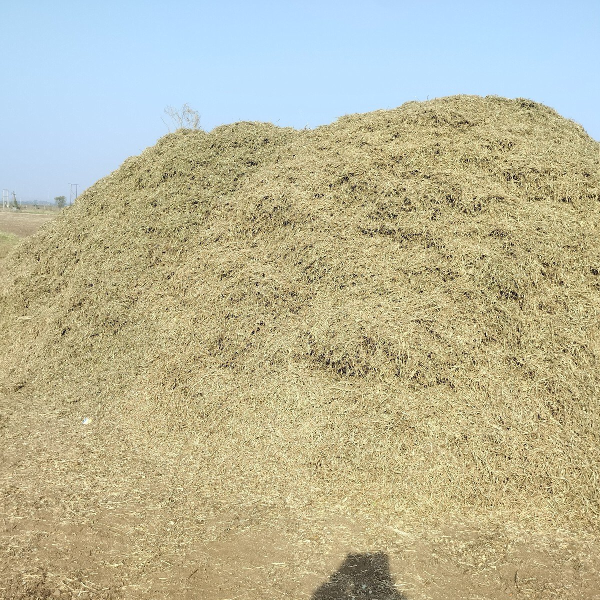 મગોટુ  (ભુકો)