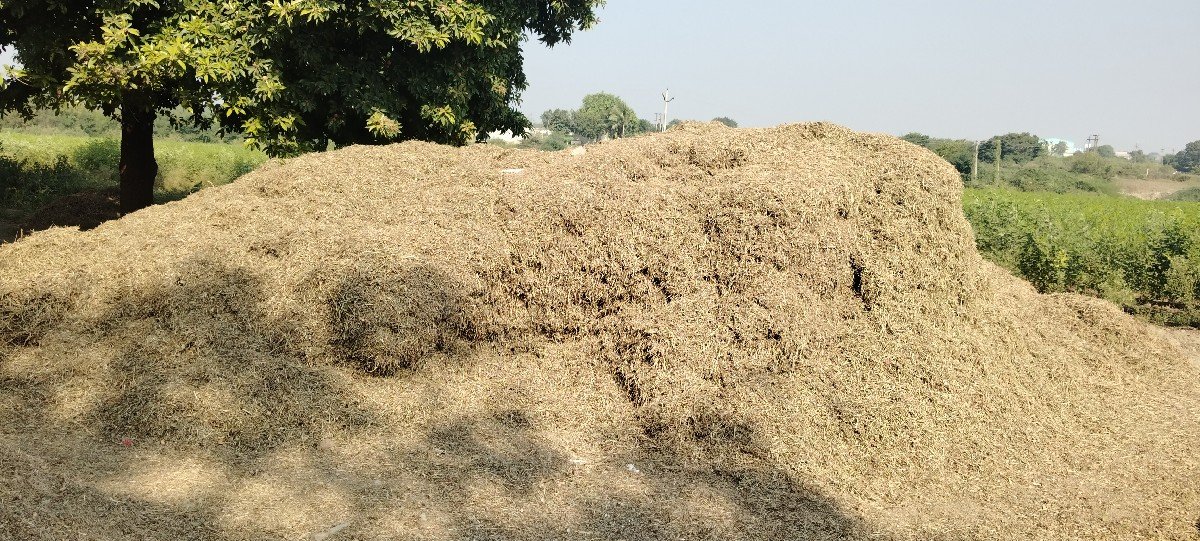 30 વીઘા નો સારો કોરો