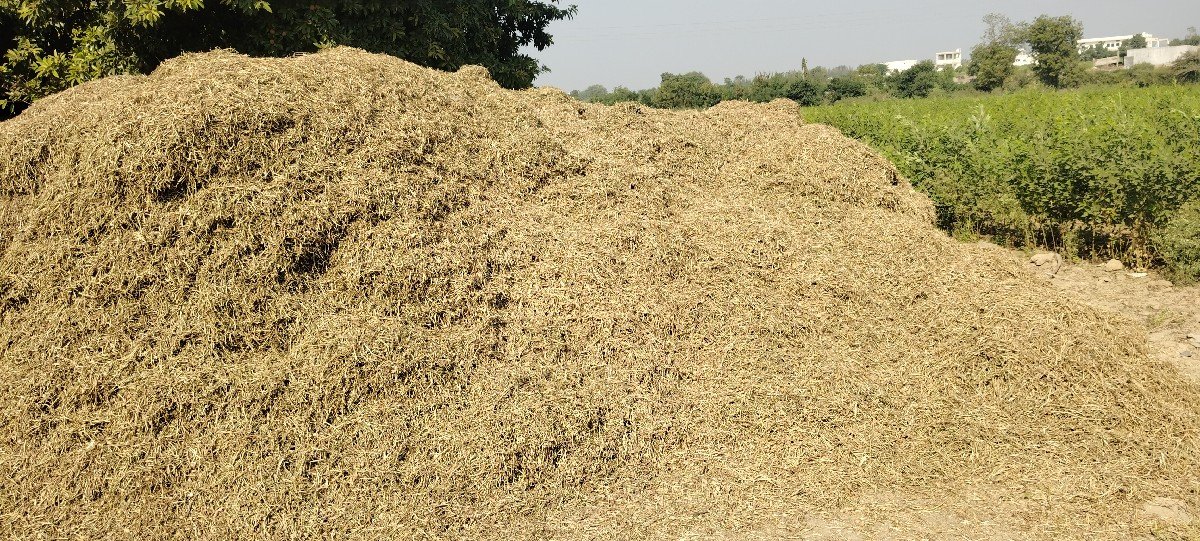 30 વીઘા નો સારો કોરો
