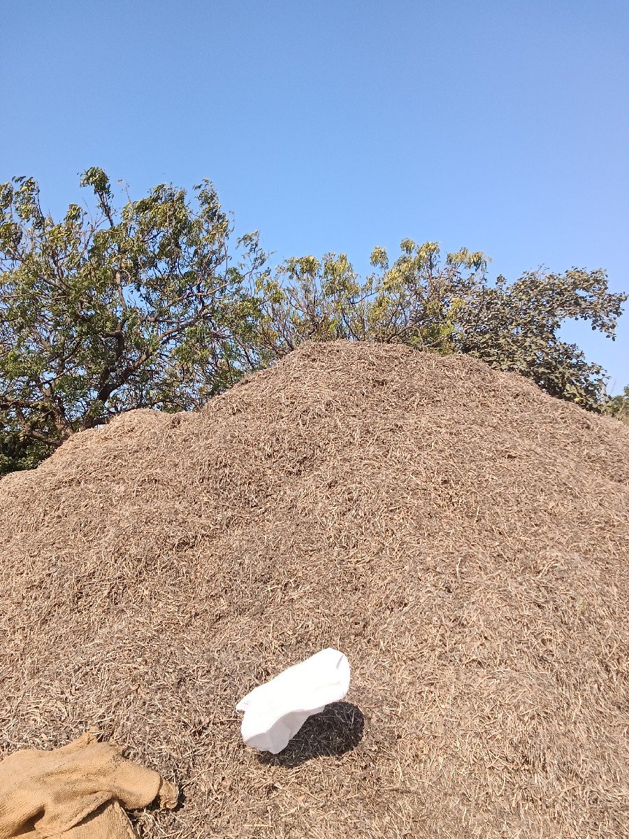 માંડવી નો પાલો વેચવાનો છે