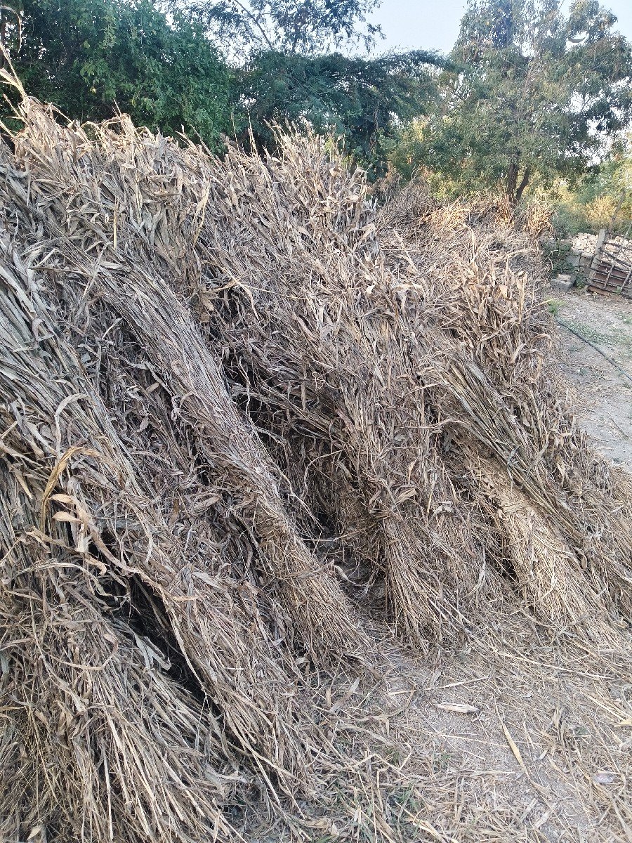 સાર વેચવાની છે.